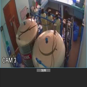 Meet your Posher, Rose